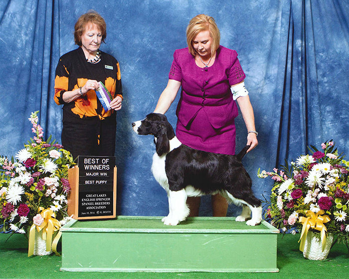 CH Foxboro Telltale Aftershock