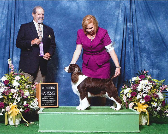 CH Telltale Seaview Absolutely Fabulous